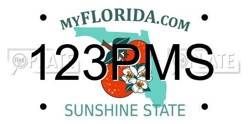 123PMS Florida License Plate