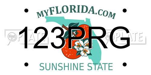 123PRG Florida License Plate