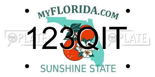 123QIT Florida License Plate