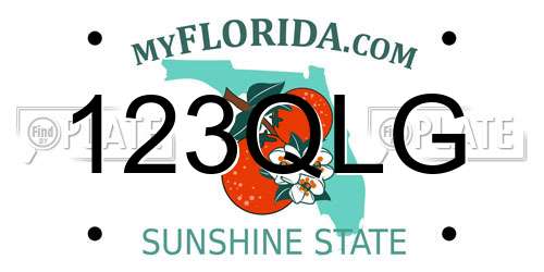 123QLG Florida License Plate
