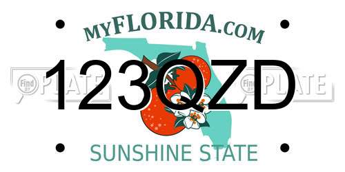 123QZD Florida License Plate
