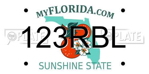 123RBL Florida License Plate