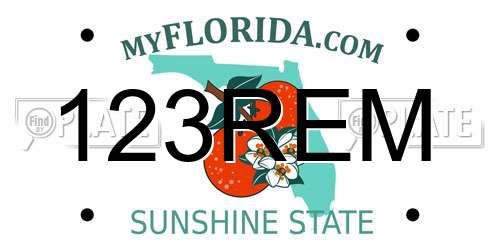 123REM Florida License Plate