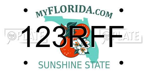 123RFF Florida License Plate