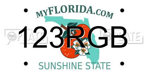 123RGB Florida License Plate