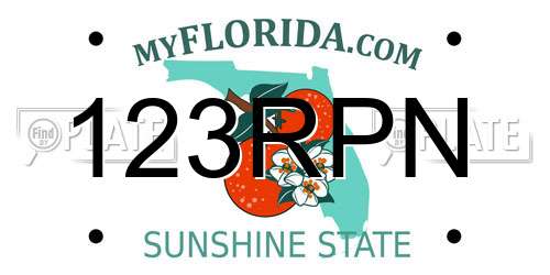 123RPN Florida License Plate