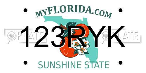 123RYK Florida License Plate