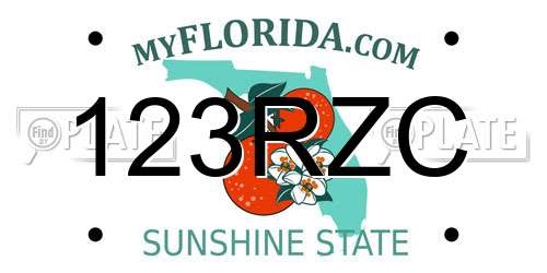 123RZC Florida License Plate
