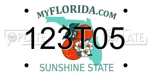 123T05 Florida License Plate
