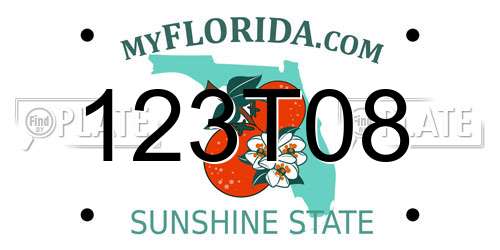 123T08 Florida License Plate
