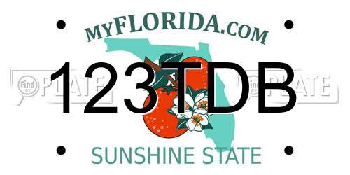 123TDB Florida License Plate