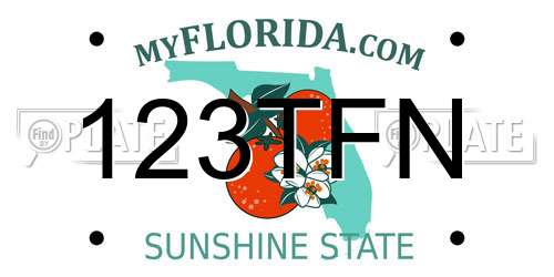 123TFN Florida License Plate