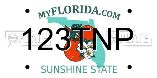 123TNP Florida License Plate