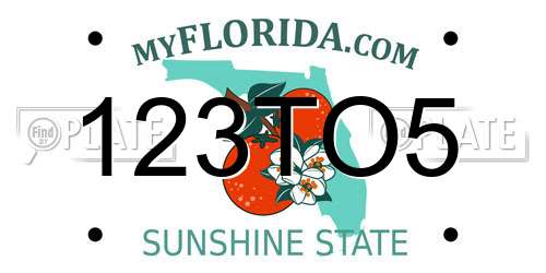 123TO5 Florida License Plate