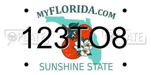 123TO8 Florida License Plate