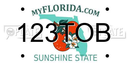 123TOB Florida License Plate
