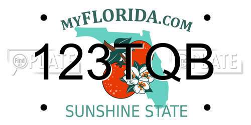 123TQB Florida License Plate