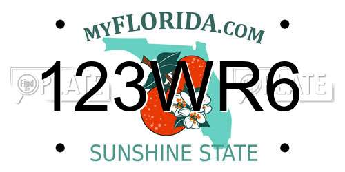 123WR6 Florida License Plate