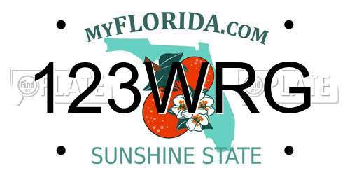 123WRG Florida License Plate