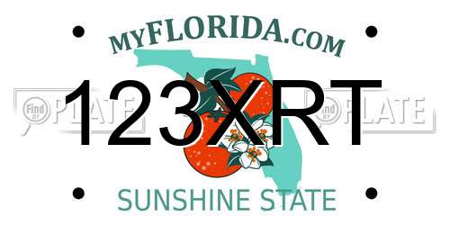 123XRT Florida License Plate