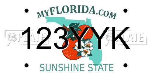 123YYK Florida License Plate