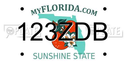 123ZDB Florida License Plate