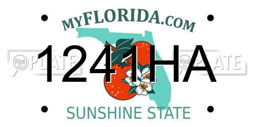 1241HA Florida License Plate