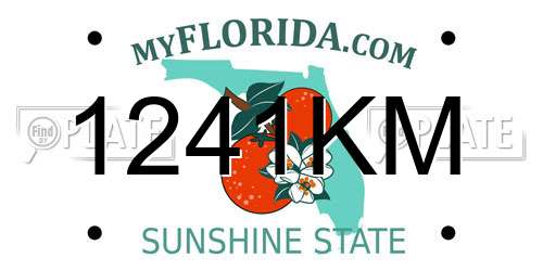 1241KM Florida License Plate
