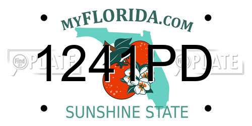 1241PD Florida License Plate