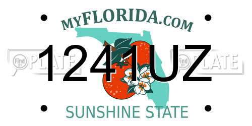 1241UZ Florida License Plate