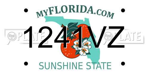 1241VZ Florida License Plate