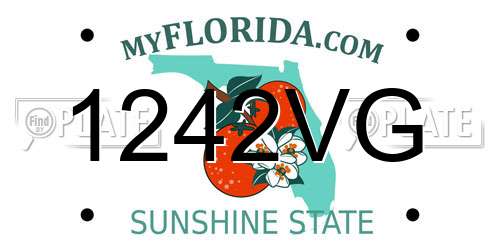1242VG Florida License Plate