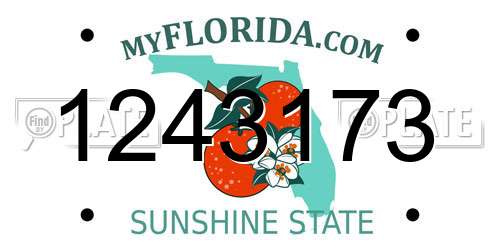 1243173 Florida License Plate