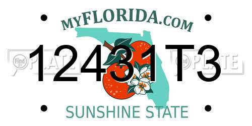 12431T3 Florida License Plate