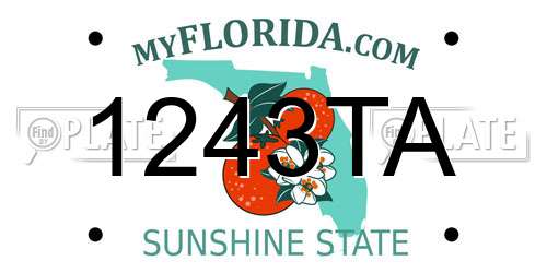 1243TA Florida License Plate