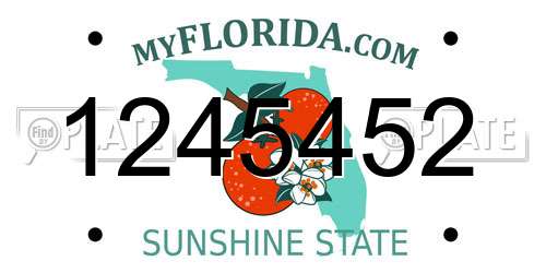 1245452 Florida License Plate