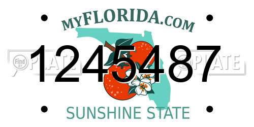 1245487 Florida License Plate