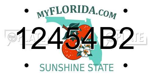12454B2 Florida License Plate