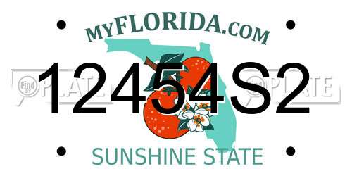 12454S2 Florida License Plate