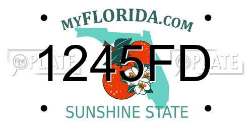 1245FD Florida License Plate