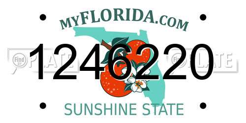 1246220 Florida License Plate