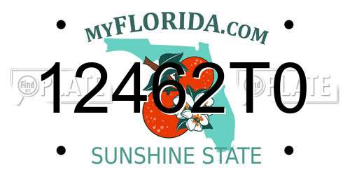 12462T0 Florida License Plate