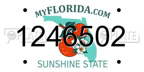 1246502 Florida License Plate