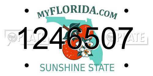 1246507 Florida License Plate