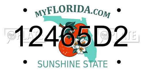 12465D2 Florida License Plate