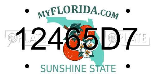 12465D7 Florida License Plate