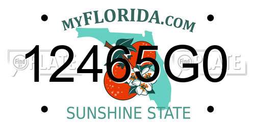 12465G0 Florida License Plate