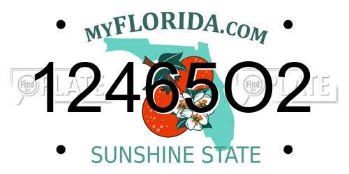 12465O2 Florida License Plate