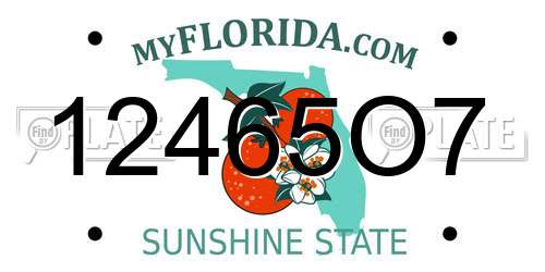 12465O7 Florida License Plate