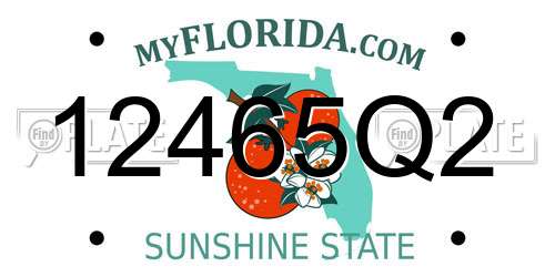 12465Q2 Florida License Plate